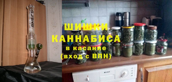 ПСИЛОЦИБИНОВЫЕ ГРИБЫ Киренск