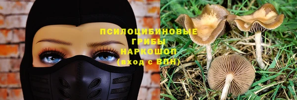 дживик Карпинск