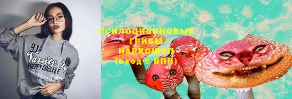ПСИЛОЦИБИНОВЫЕ ГРИБЫ Киренск