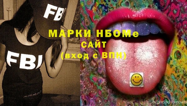 индика Нижневартовск