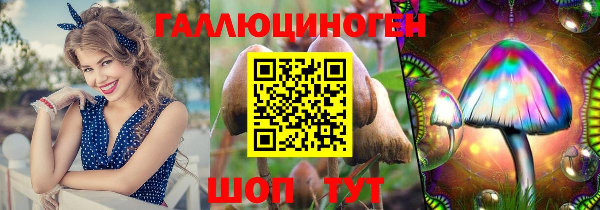 Галлюциногенные грибы Psilocybine cubensis Конаково