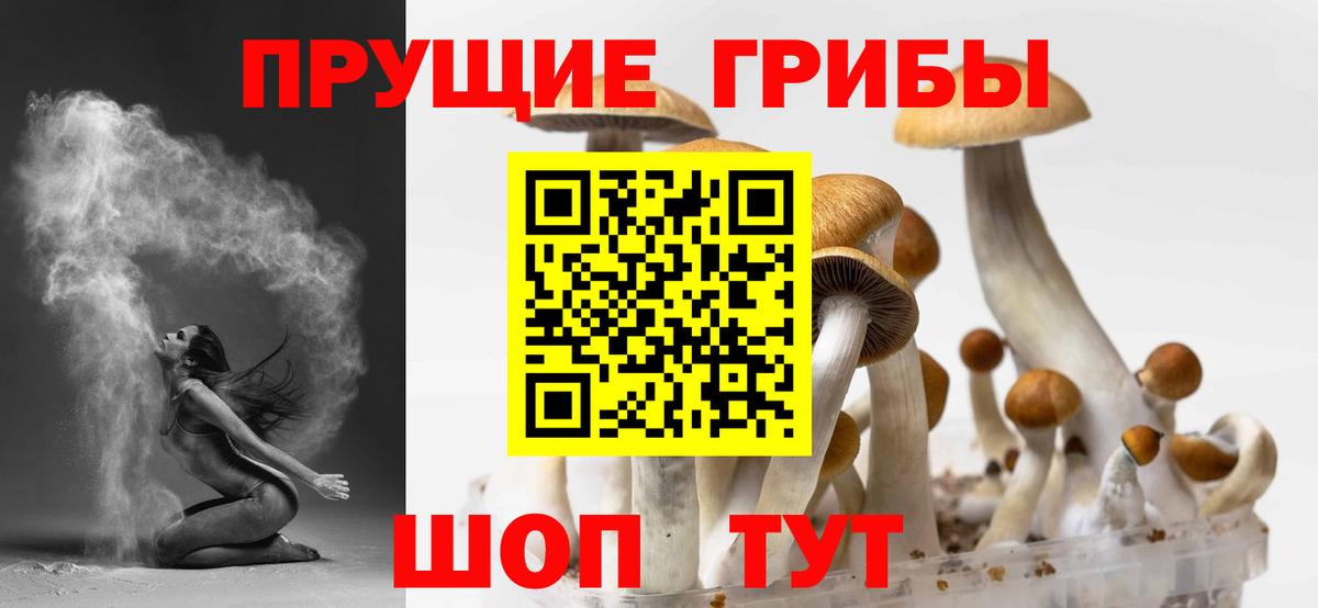 Конаково  Псилоцибиновые грибы MAGIC MUSHROOMS  Вход с VPN 